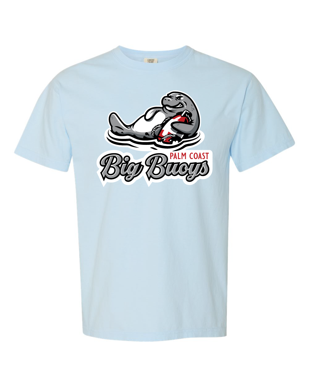 Big Buoys Premium Comfort Colors Youth Garment-Dyed Heavyweight T-Shirt