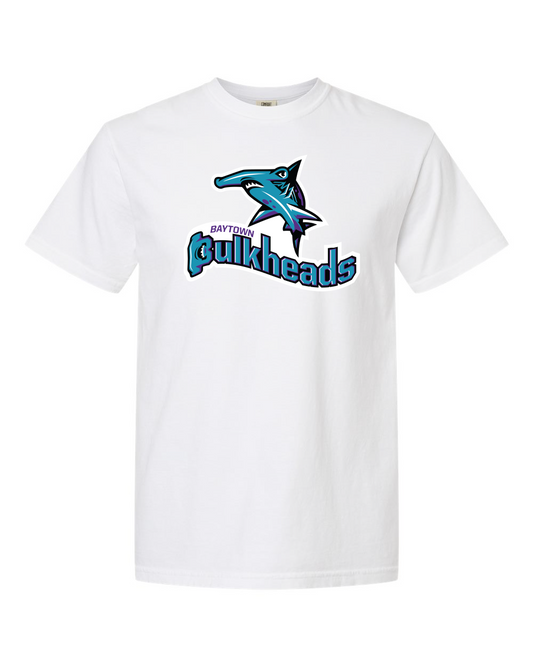 Bulkheads Premium Comfort Colors Youth Garment-Dyed Heavyweight T-Shirt